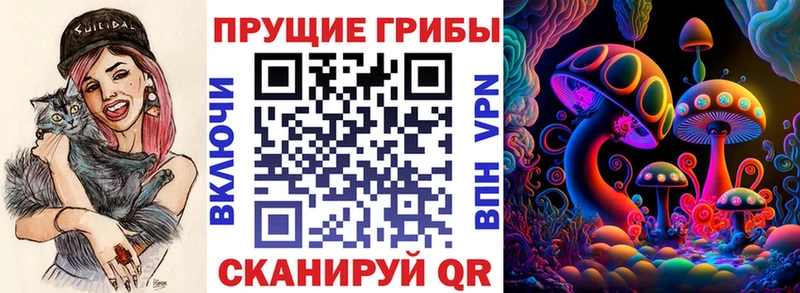 где купить   Большой Камень  Псилоцибиновые грибы прущие грибы 